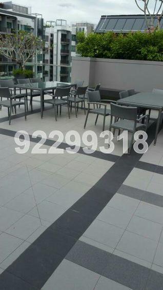 Hills Twoone (D23), Apartment #139699392